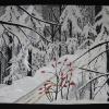 Winter Road
cattim_679_22
