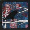 One Raven in a Birch Tree
cattim_589_18
10" x 10" (25.5cm x 25.5cm)
SOLD