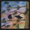 Ravens Arguing
cattim_601_19
14" x 14"  (35cm x 35cm